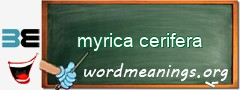 WordMeaning blackboard for myrica cerifera